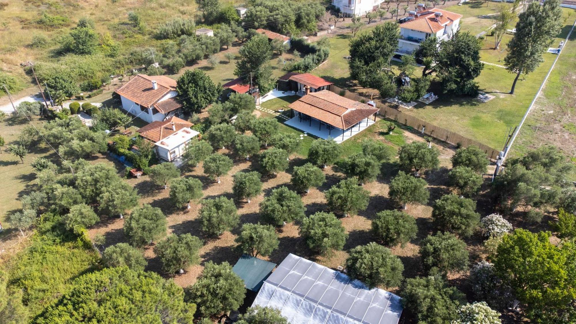 Casa Alelia Lagonisi 奥马斯帕纳吉亚斯 外观 照片