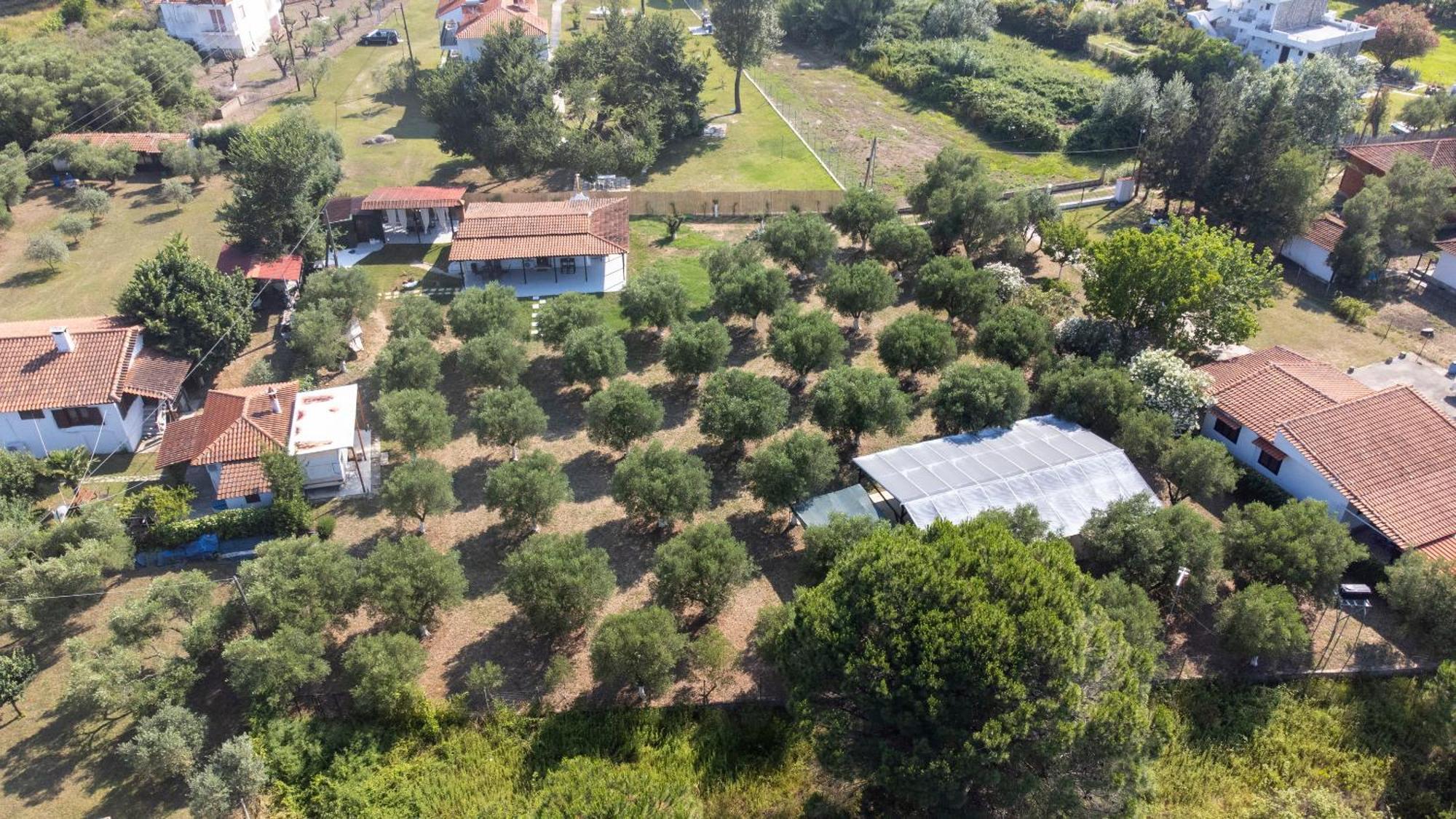 Casa Alelia Lagonisi 奥马斯帕纳吉亚斯 外观 照片
